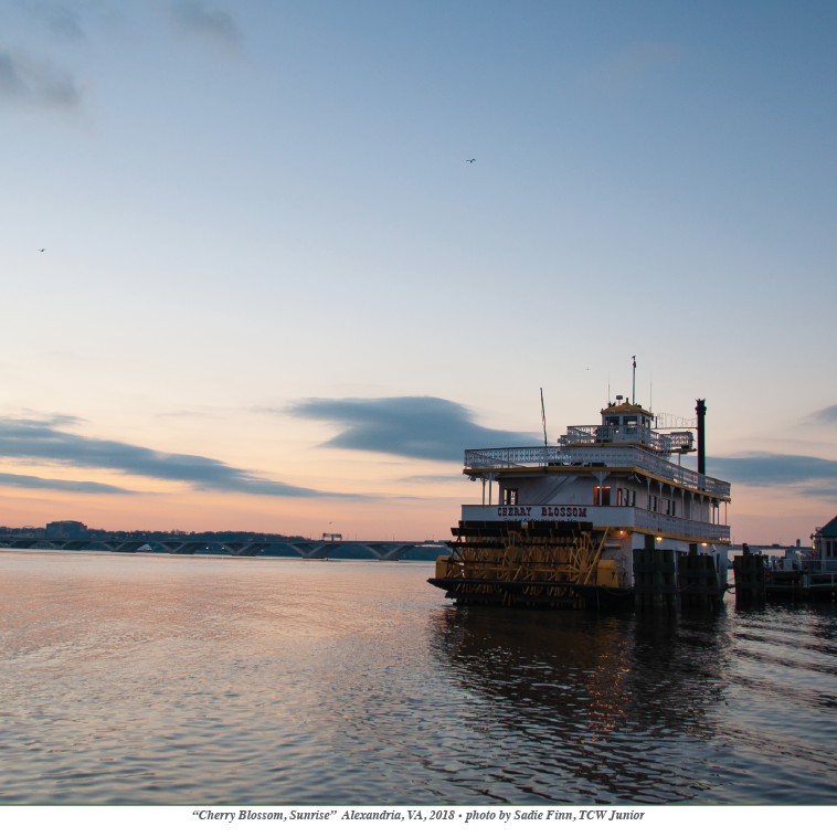 paddle boat on a river at sunset