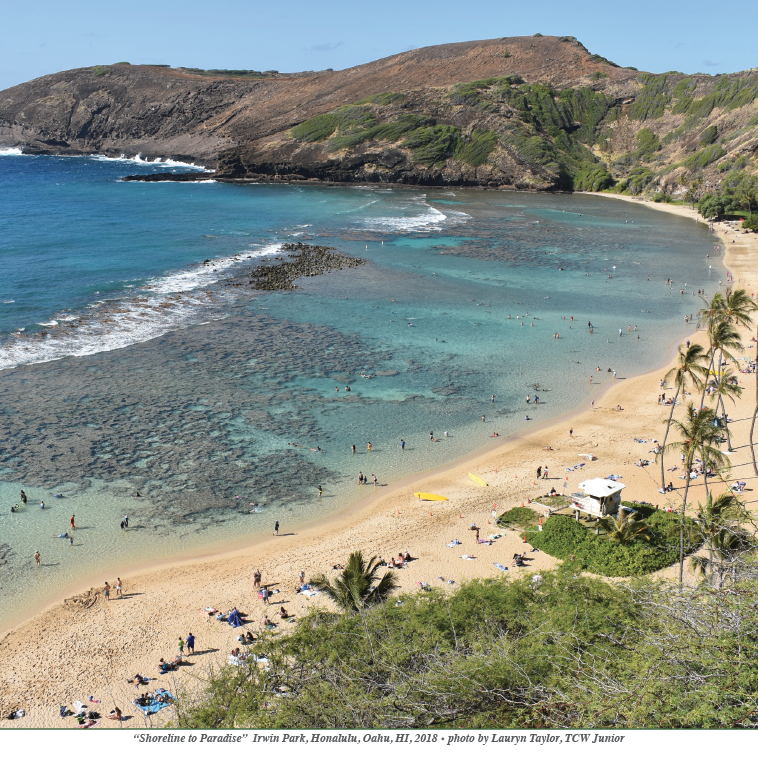 Tropical beach and cove with hills