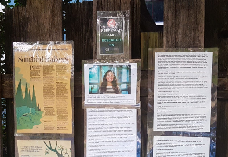 Ana Humphrey's photo posted on fence in Del Ray along with other scientific news