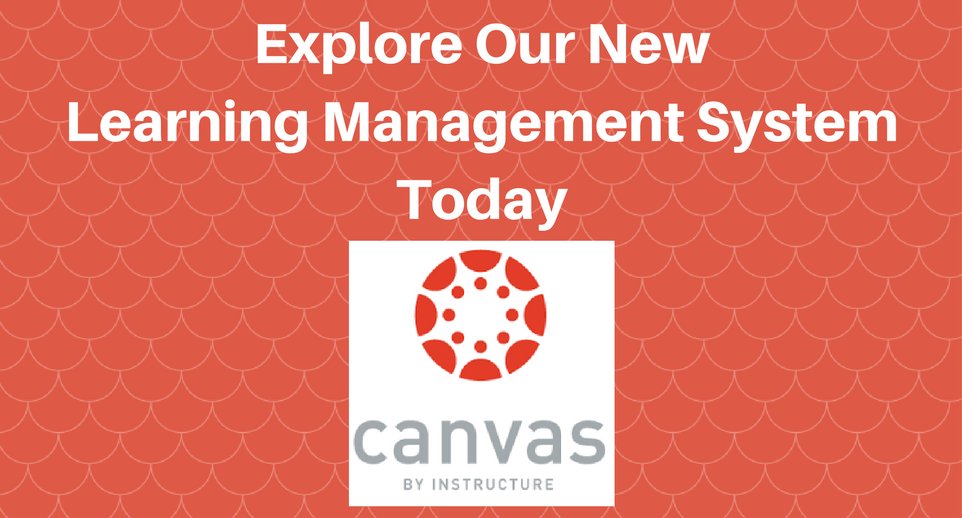 Explore NewLearning Management System