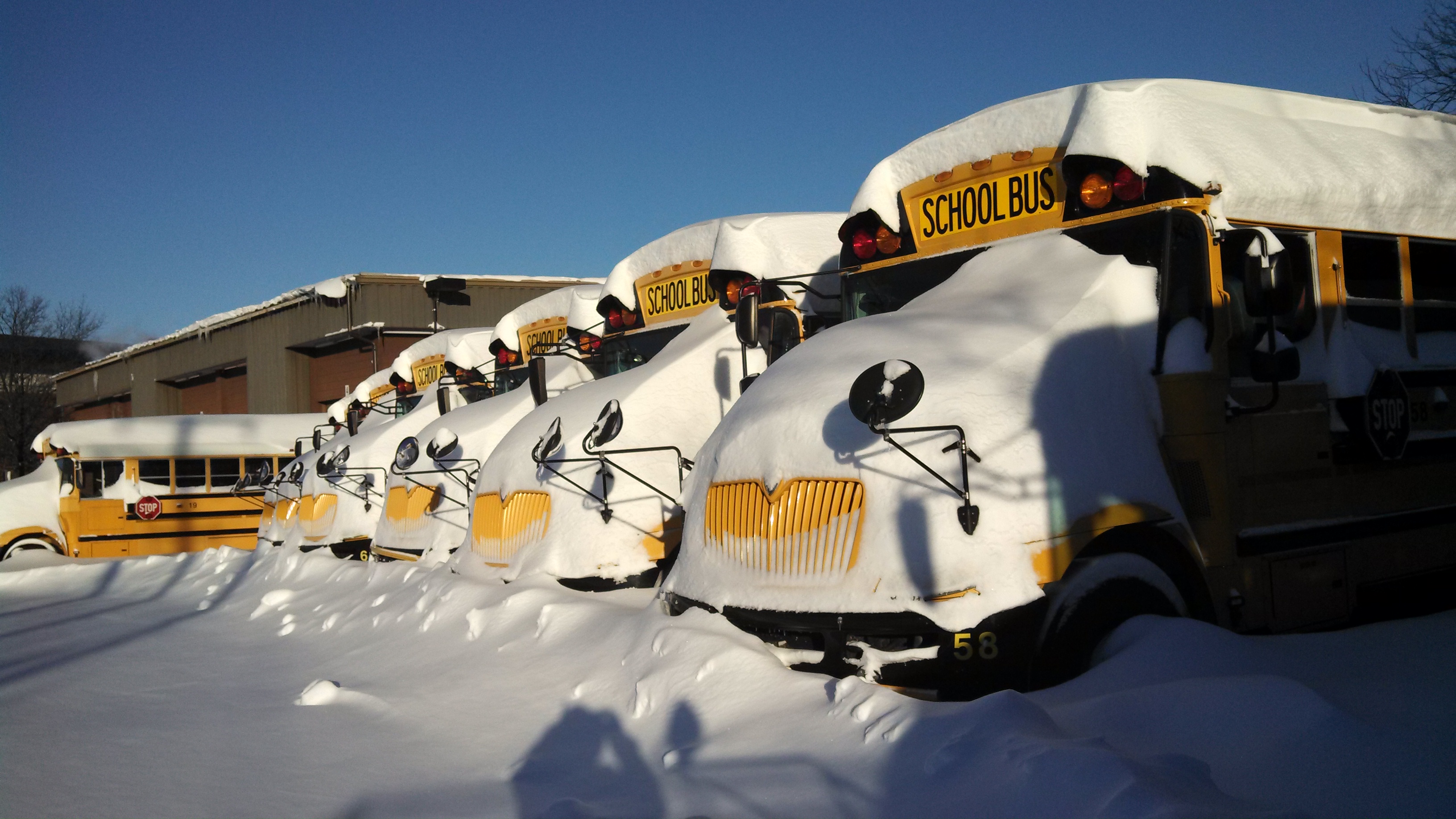 Snow-covered buses