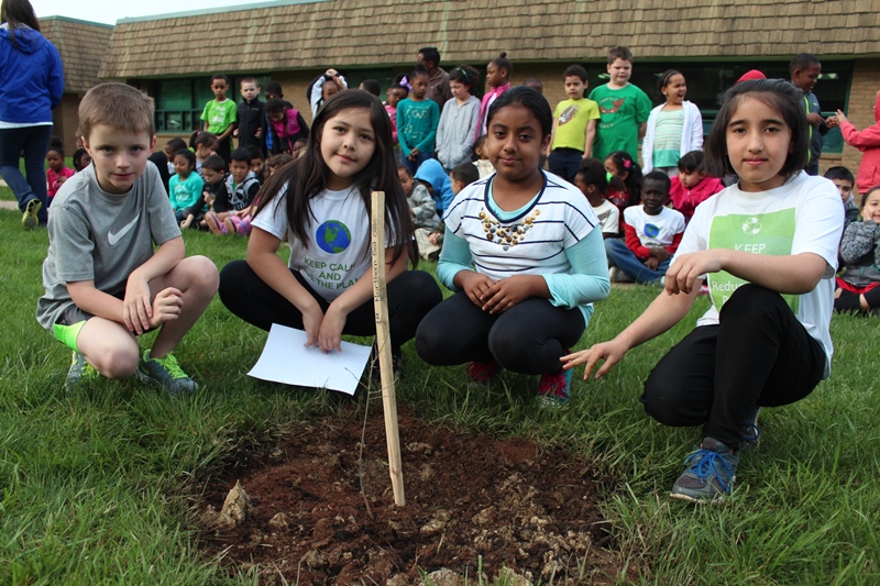 Students planting a tree