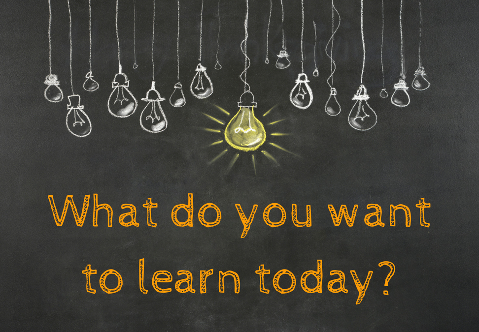 what do you want to learn today?