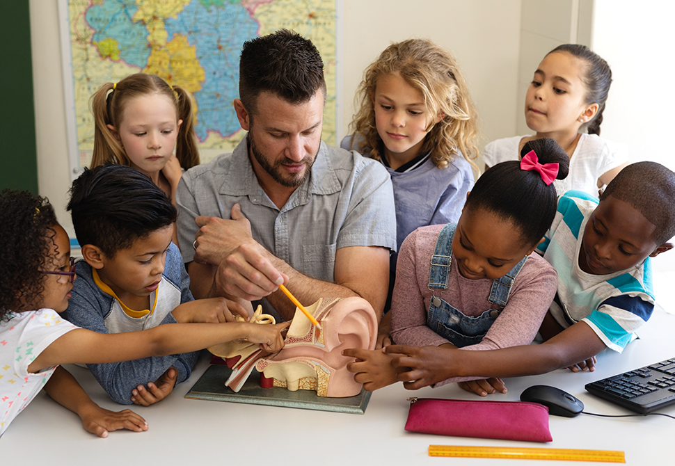 teacher with students examining a model of the inner ear