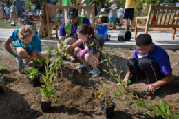 kids working in garden