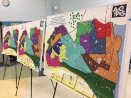 maps of redistricting options