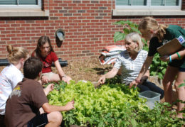 students learning in school garden