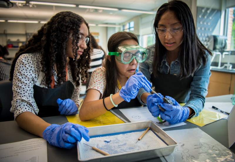 students dissect a frog